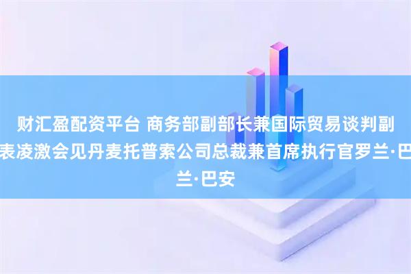财汇盈配资平台 商务部副部长兼国际贸易谈判副代表凌激会见丹麦托普索公司总裁兼首席执行官罗兰·巴安