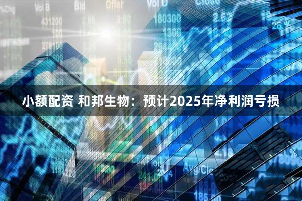 小额配资 和邦生物：预计2025年净利润亏损