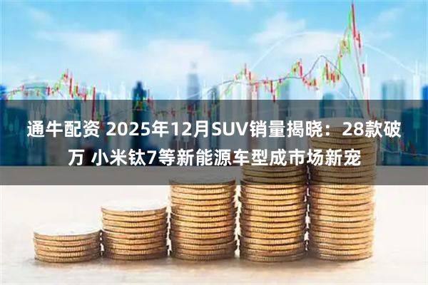 通牛配资 2025年12月SUV销量揭晓：28款破万 小米钛7等新能源车型成市场新宠