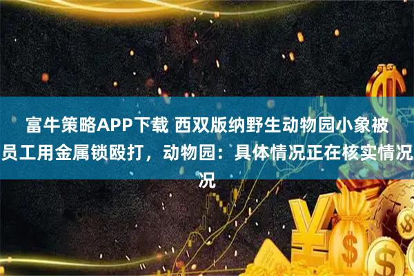 富牛策略APP下载 西双版纳野生动物园小象被员工用金属锁殴打，动物园：具体情况正在核实情况