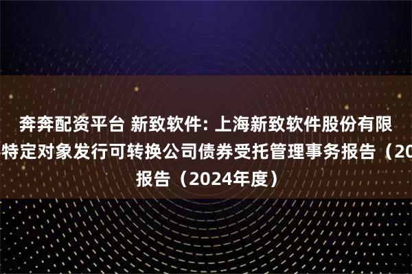 奔奔配资平台 新致软件: 上海新致软件股份有限公司向不特定对象发行可转换公司债券受托管理事务报告（2024年度）