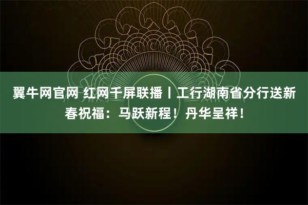 翼牛网官网 红网千屏联播丨工行湖南省分行送新春祝福：马跃新程！丹华呈祥！